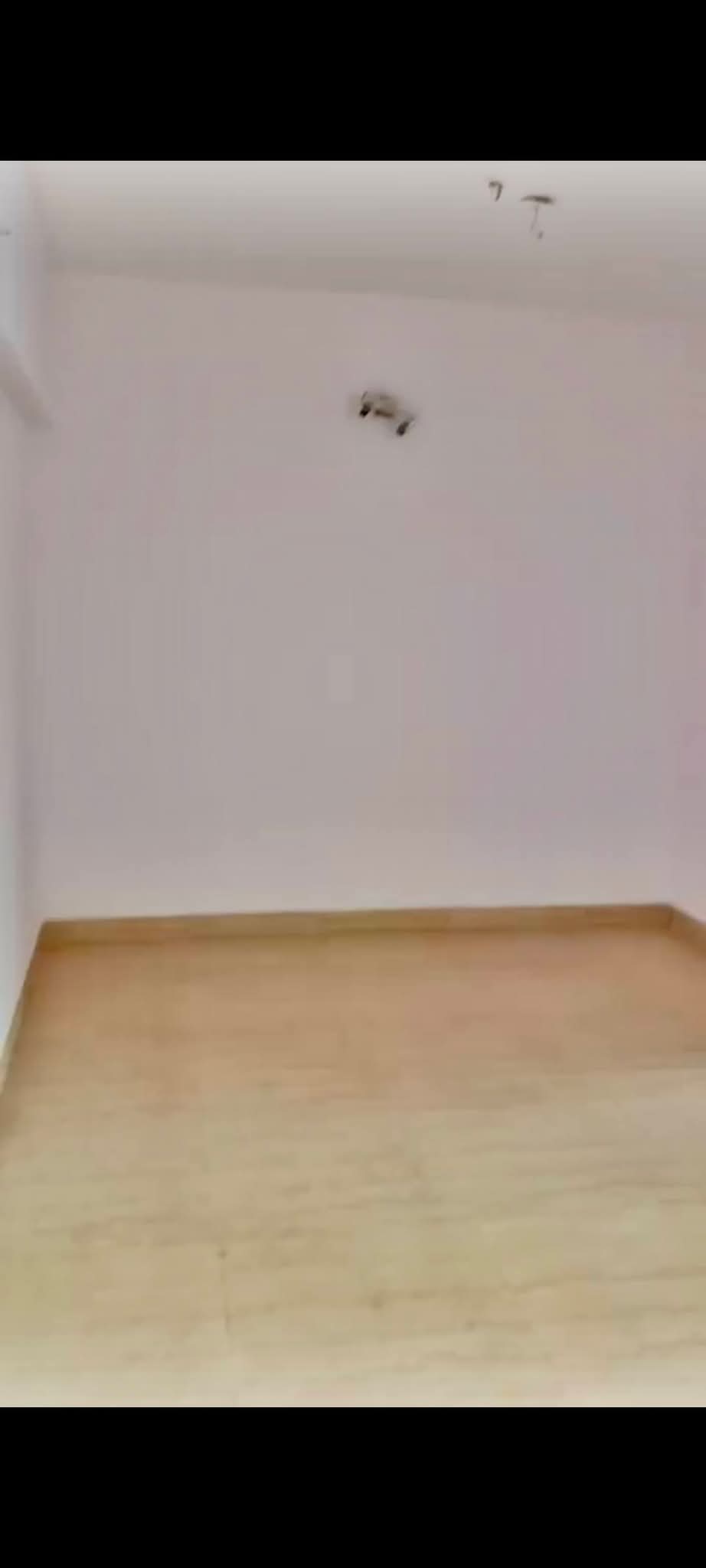 3 BHK + Extra Room Apartment For Rent in HDIL Metropolis Residences