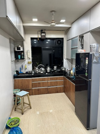 1 BHK Apartment For Rent in Kshitija Shree Laxmi Residency Byculla West Mumbai  8161712