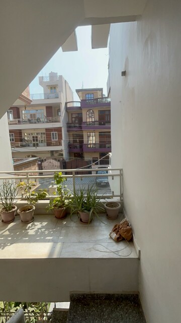 3 BHK Builder Floor – Exterior View View at Sector 23 - for Rent
