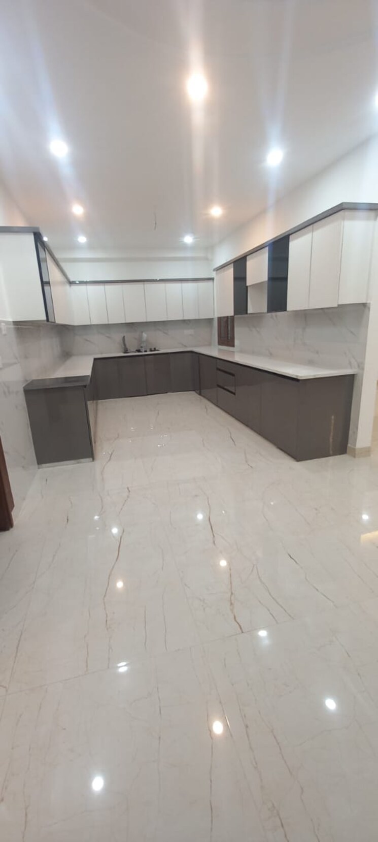 Kitchen, rajendra nagar sector 5 5 Bedroom 355 Sq.Yd. Builder Floor In Rajendra Nagar Sector 5 Ghaziabad 8162008