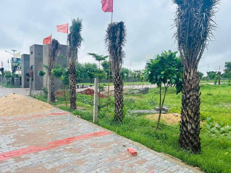 Garden, jaipur ajmer express highway  500 Sq.Yd. Plot In JaipuR Ajmer Express Highway Jaipur 8162118