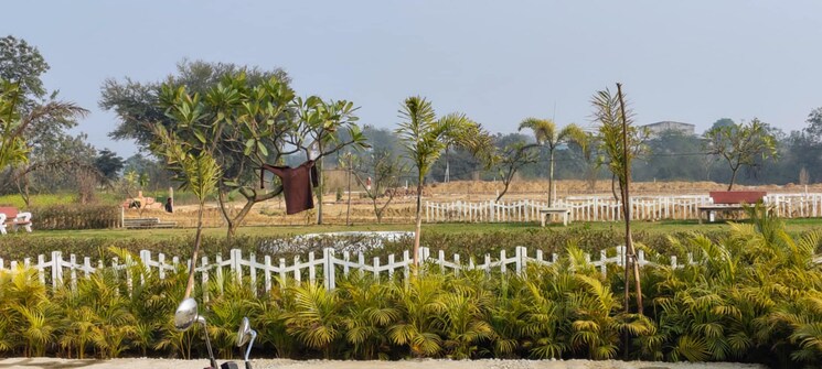 Exterior View, wazirganj  1250 Sq.Ft. Plot In Wazirganj Lucknow 8162471