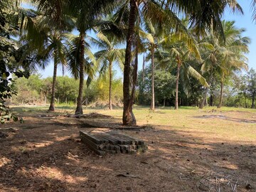  Plot – Garden View at Alibag - for Sale