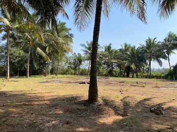 Plot For Resale in Alibag Raigad  8162518