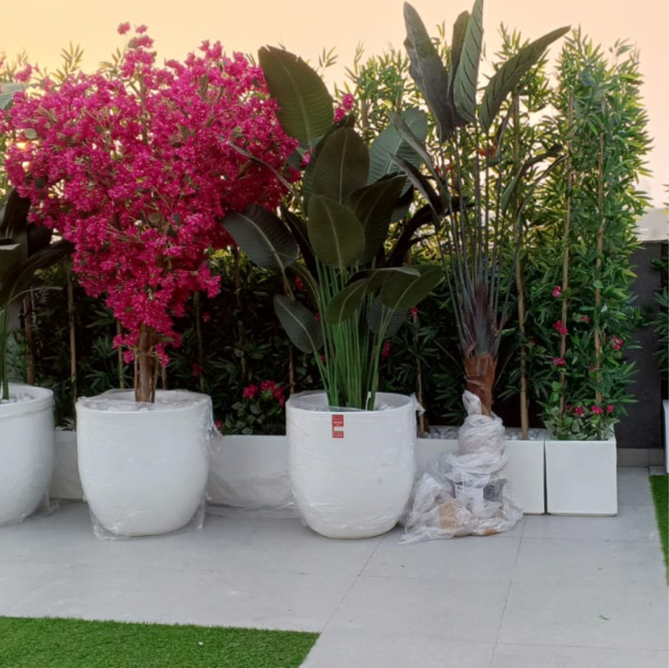 Garden, m3m-soulitude 3.5 Bedroom 1494 Sq.Ft. Builder Floor In Sector 89 Gurgaon 8162637