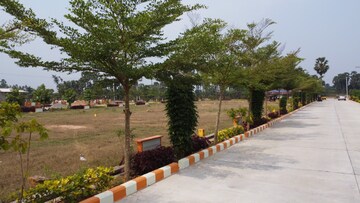 Swimming Pool in  Plot at Bhogapuram – for Sale