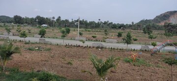 Plot Area in  Plot at Balighattam – for Sale