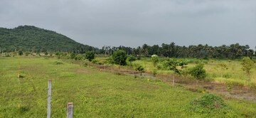 Plot For Resale in Balighattam Vizianagaram  8162824