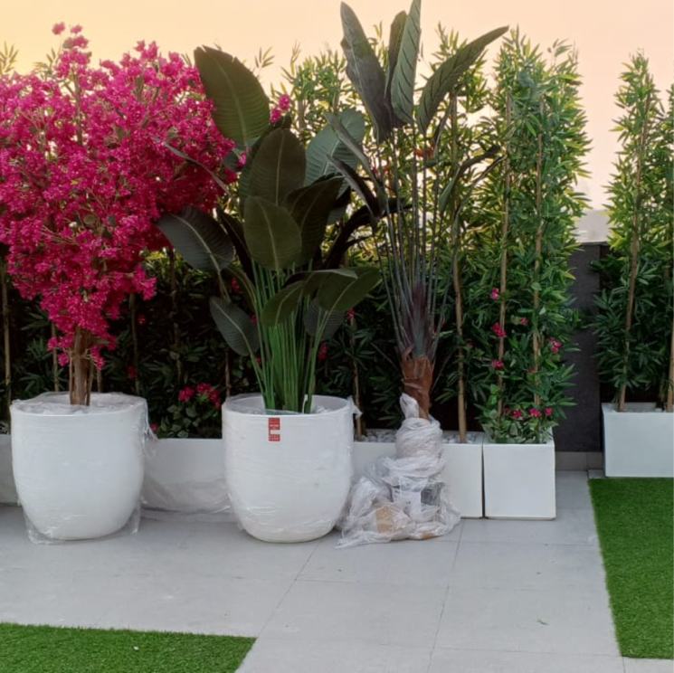 Garden, m3m-antalya-hills 3.5 Bedroom 1594 Sq.Ft. Builder Floor In Sector 79 Gurgaon 8162934