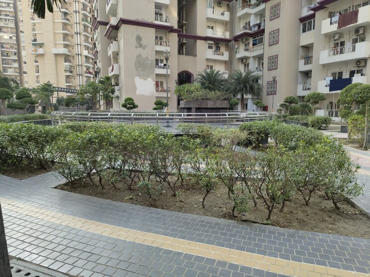 Exterior View, samridhi-grand-avenue 2 Bedroom 980 Sq.Ft. Apartment In Tech Zone 4 Greater Noida Greater Noida 8163016
