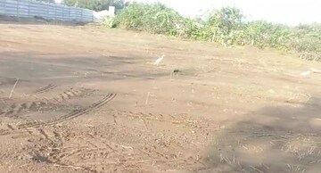 Plot Area in  Plot at Moinabad – for Sale