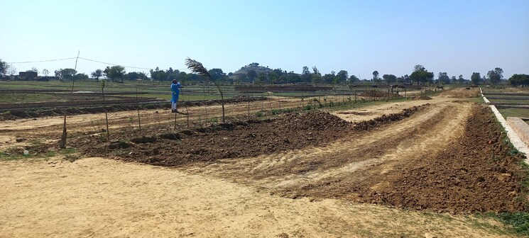 undefined, jasra  900 Sq.Ft. Plot In Jasra Allahabad 8163319