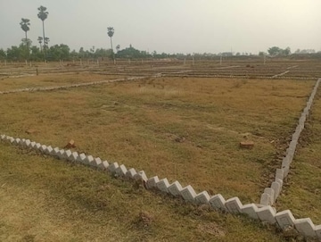 Plot For Resale in Nimal Rajgir  8163327