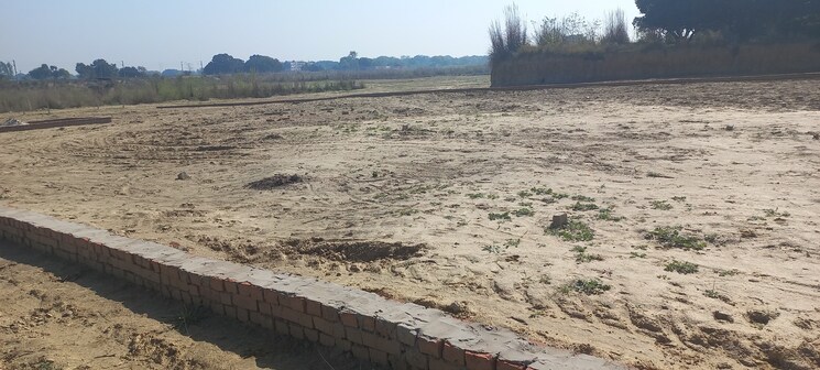 undefined, naini  900 Sq.Ft. Plot In Naini Allahabad 8163337