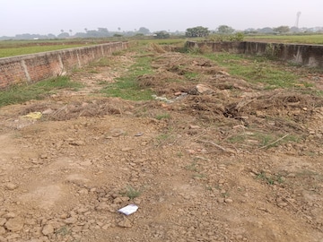 Plot For Resale in Golambar Patna  8163352