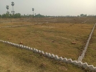 Plot For Resale in Bihta Patna  8163357