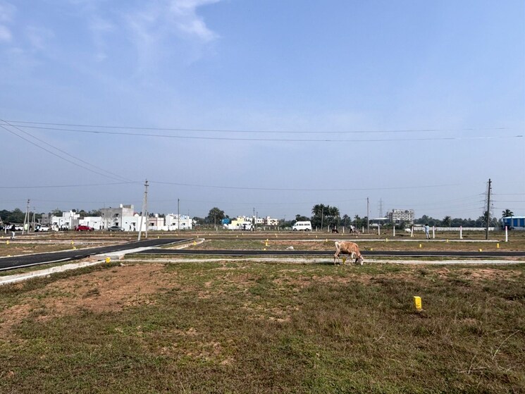 undefined, thirukkazhukundram  586 Sq.Ft. Plot In Thirukkazhukundram Chennai 8163851