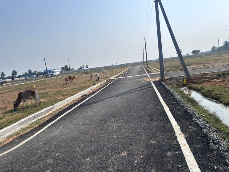 Exterior View, thirukkazhukundram  586 Sq.Ft. Plot In Thirukkazhukundram Chennai 8163851