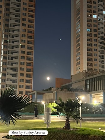 3 BHK Apartment For Resale in Shapoorji Pallonji Joyville Phase 2 Sector 102 Gurgaon  8164076