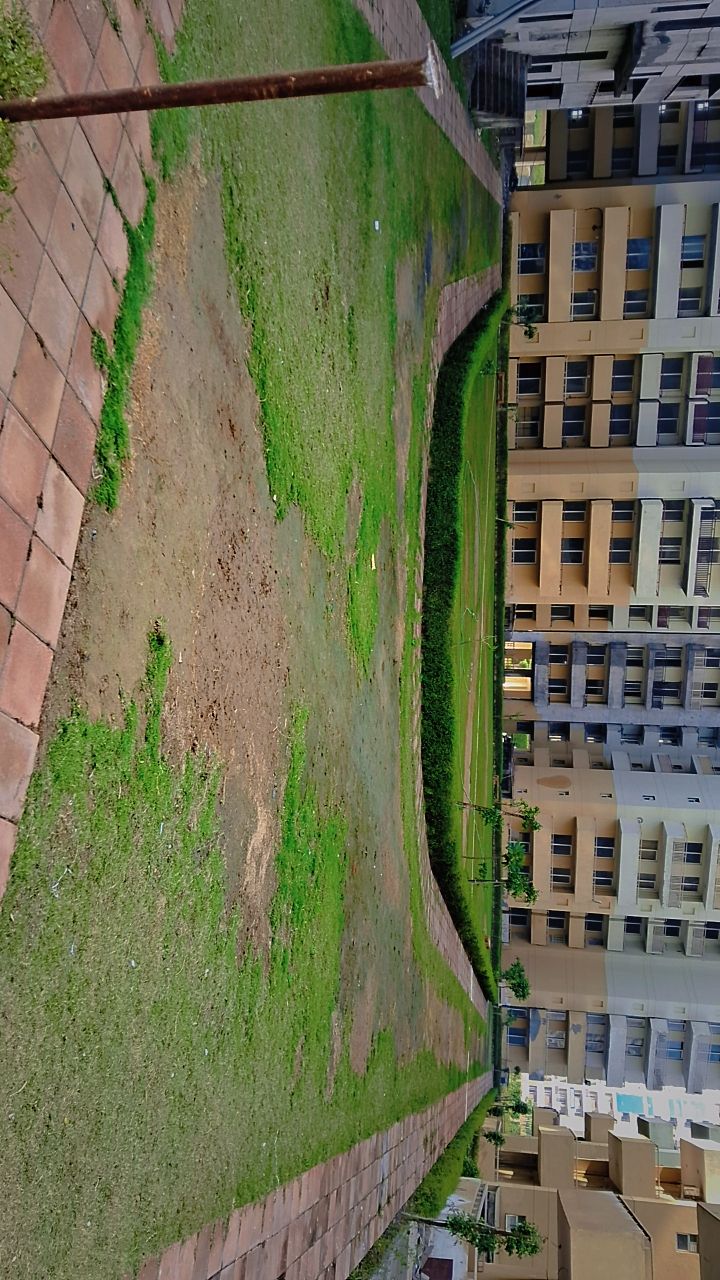 3 BHK Apartment For Sale in Ansal Estella