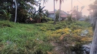 Plot For Resale in Palarivattom Kochi  8164156