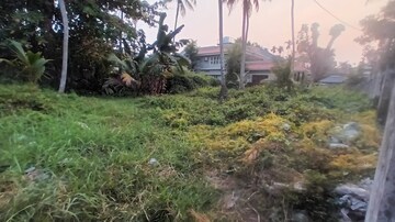 Plot Area in  Plot at Palarivattom – for Sale