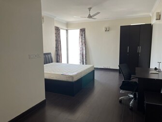 3 BHK Builder Floor For Rent in Saurabh Niwas Sector 40 Gurgaon  8164175