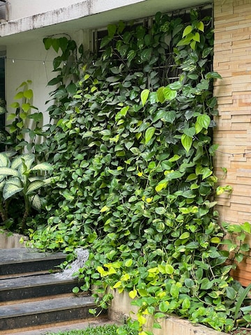 3 BHK Apartment – Garden View at SVC Tree Walk, Kondapur - for Sale