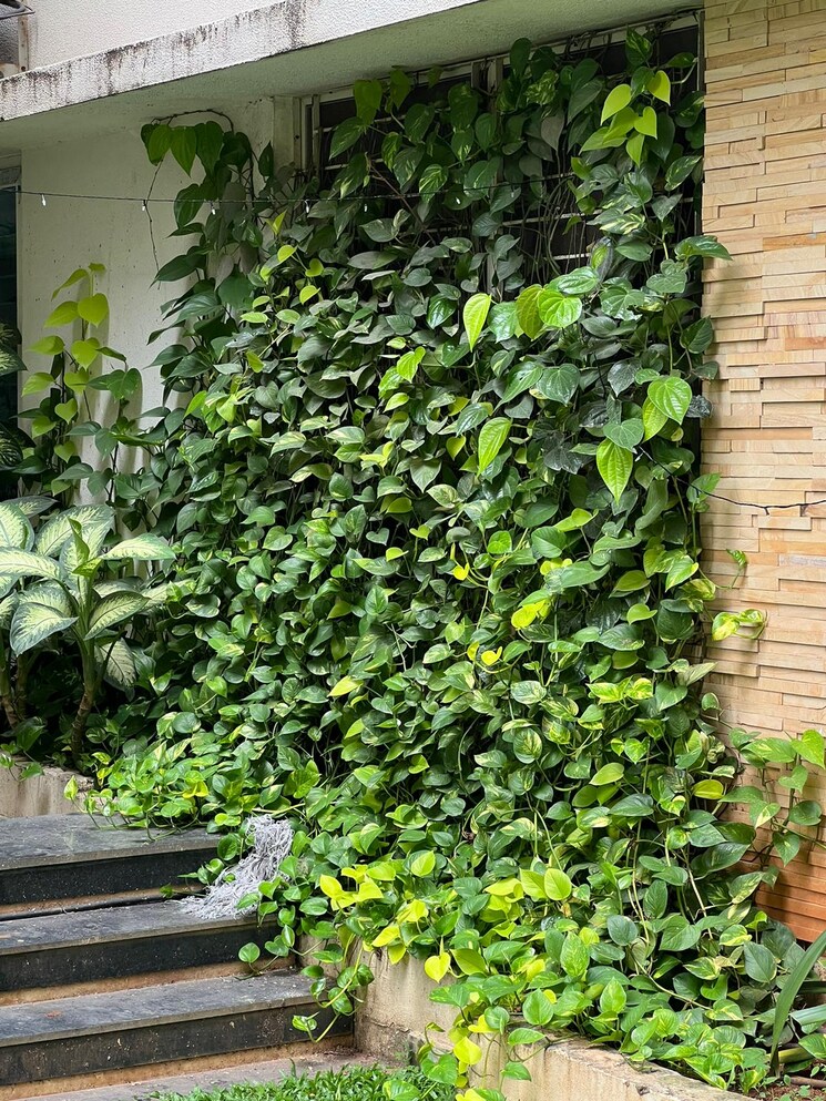 Garden, svc-tree-walk 3 Bedroom 1825 Sq.Ft. Apartment In Kondapur Hyderabad 8164305