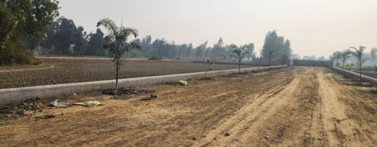 undefined, sultanpur road  1250 Sq.Ft. Plot In Sultanpur Road Lucknow 8164494