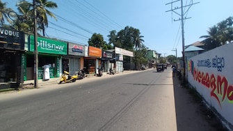 Commercial Land 13000 Sq.Ft. For Resale in Palluruthy Kochi  8164505