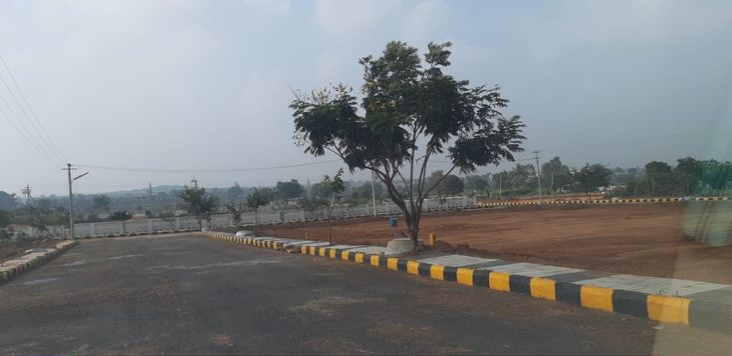 Plot For Sale in Srinivasapura Colony 