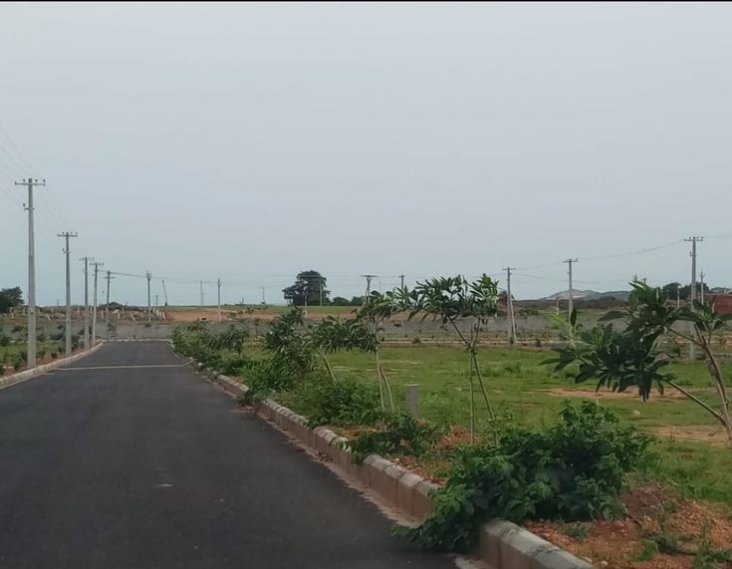 Plot For Sale in Kushi Plots 