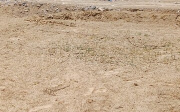 Industrial Plot For Sale in Sikri