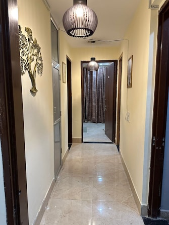 1 RK Builder Floor For Rent in Hector Trimurti Heights Sector 33 Gurgaon  8164969