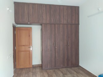 2 BHK Apartment For Rent in Hennur Plaza Hennur Bangalore  8165474