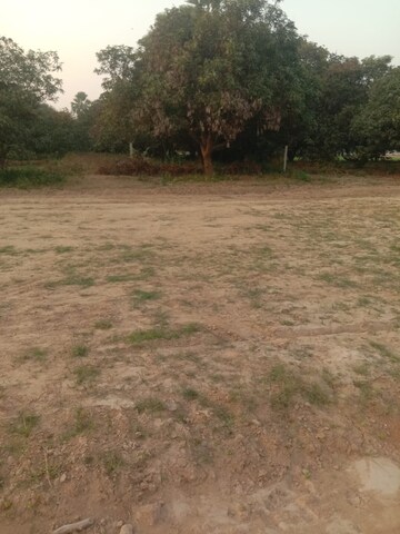 Plot Area in  Plot at Kanpur Road – for Sale
