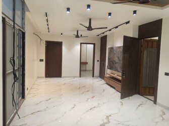 1 BHK Builder Floor For Rent in RWA Apartments Sector 37 Sector 37 Noida  8165734