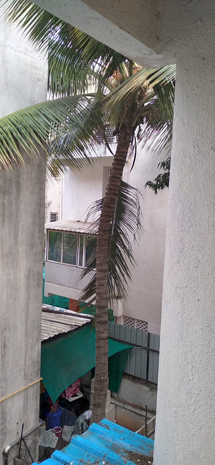 Balcony, vadgaon budruk 1 RK 350 Sq.Ft. Apartment In Vadgaon Budruk Pune 8165774