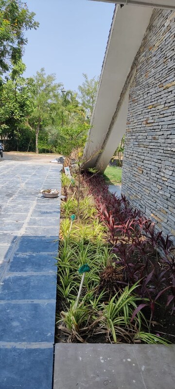  Plot – Exterior View View at Sejbahar - for Sale
