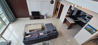 3 BHK Penthouse For Rent in SJR Palazza City Sarjapur Road Bangalore  8165811