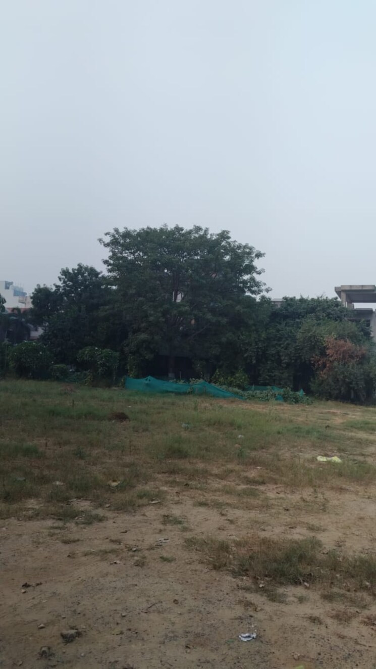 undefined, dharam-flats  107 Sq.Yd. Plot In Palam Vihar Extension Gurgaon 8166135