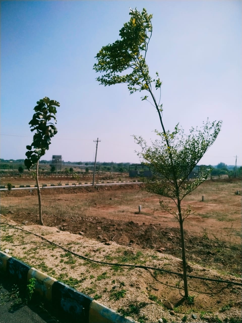 Plot For Sale in SR Rock Town