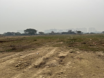 Plot Area in  Plot at Tappal – for Sale