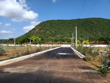Plot Area in  Plot at Tagarapuvalasa – for Sale