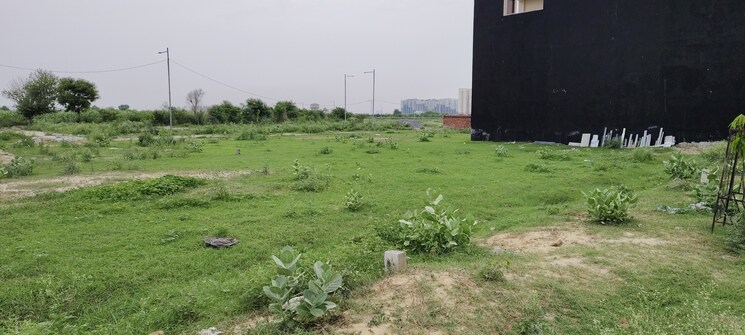 undefined, pinewood-enclave  162 Sq.Mt. Plot In Wave City Ghaziabad 8166744