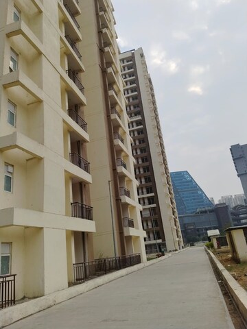 2 BHK Apartment – Exterior View View at Amrapali Golf Homes, Sector 4, Greater Noida - for Rent