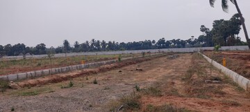 Plot Area in  Plot at Bhogapuram – for Sale