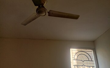 1 BHK Builder Floor For Rent in Sector 37