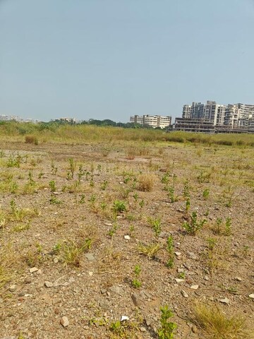 Plot Area in  Plot at Jasai – for Sale